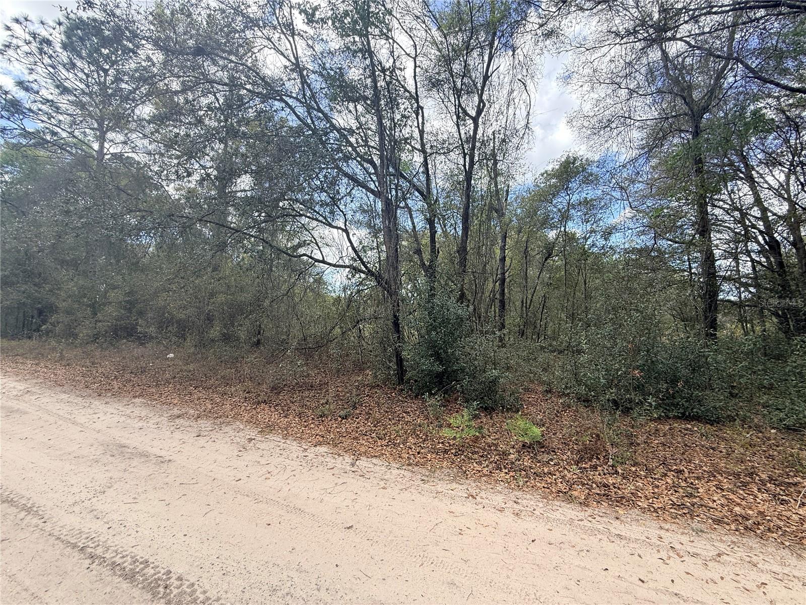 Lots 34-36 NW 52ND AVE, OCALA, FL, 34482