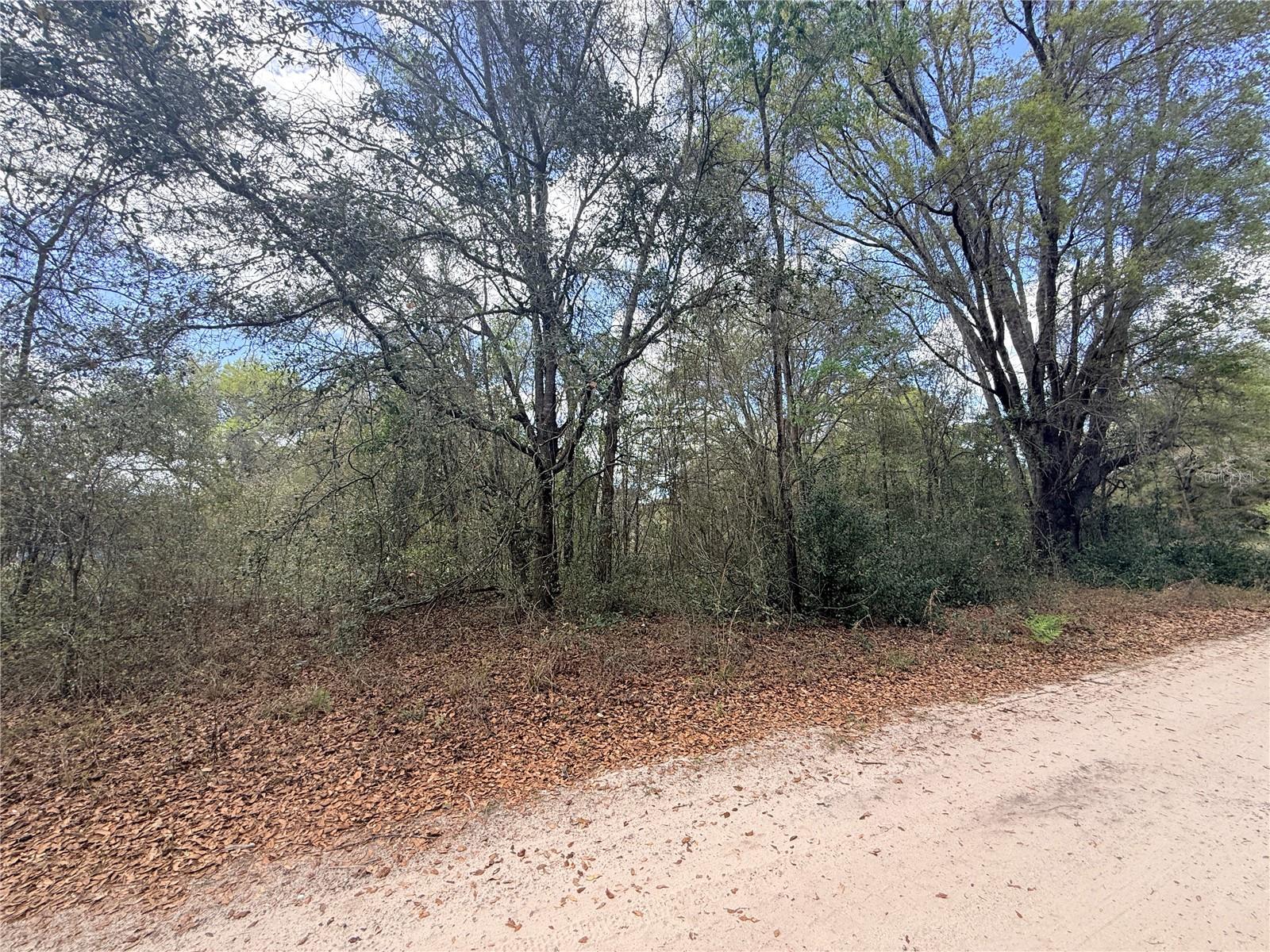 Lots 34-36 NW 52ND AVE, OCALA, FL, 34482