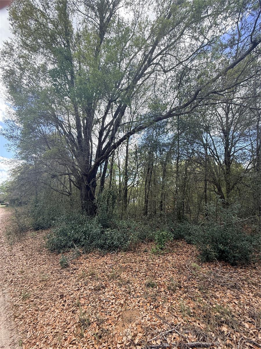 Lots 34-36 NW 52ND AVE, OCALA, FL, 34482