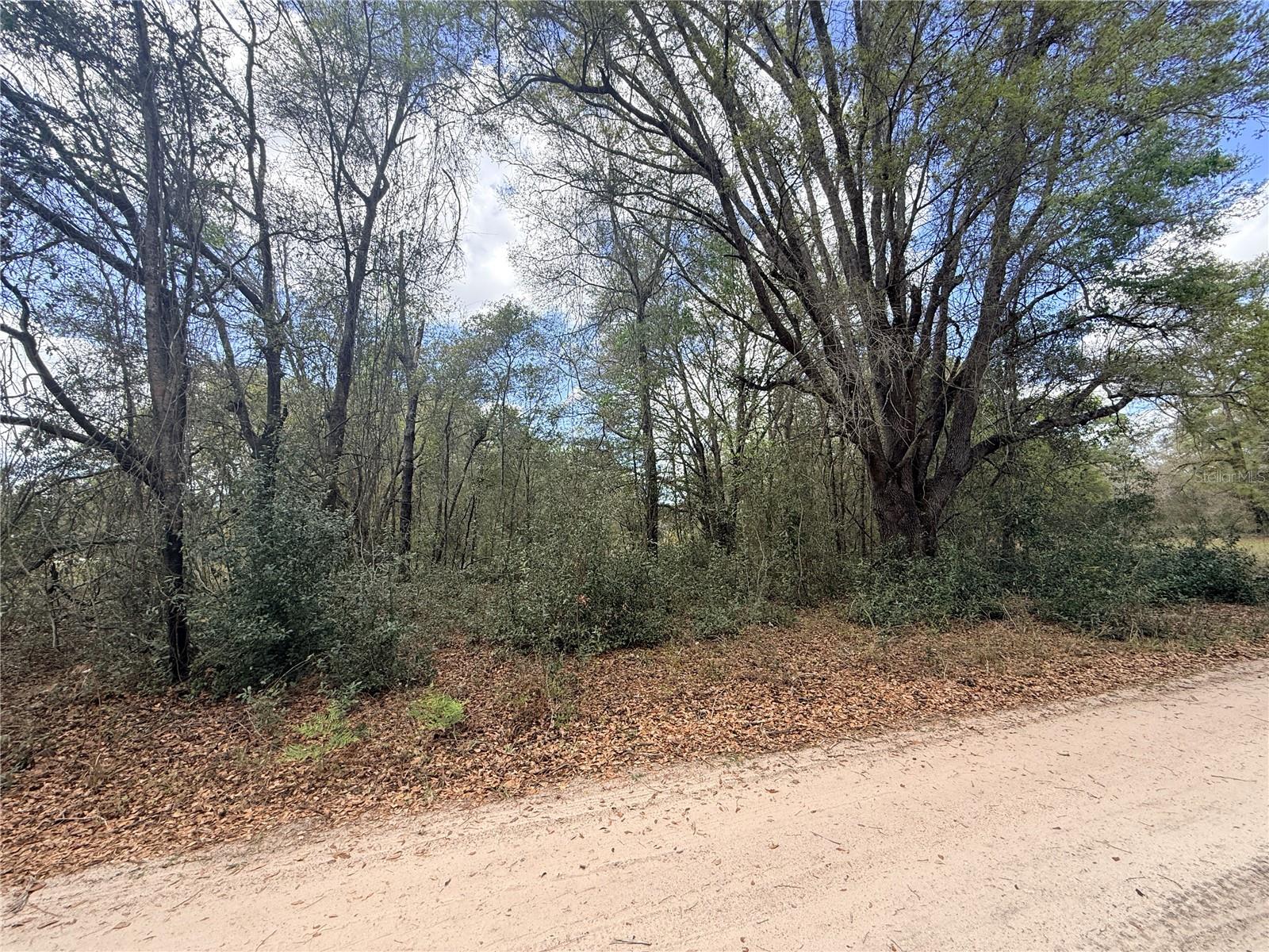 Lots 34-36 NW 52ND AVE, OCALA, FL, 34482
