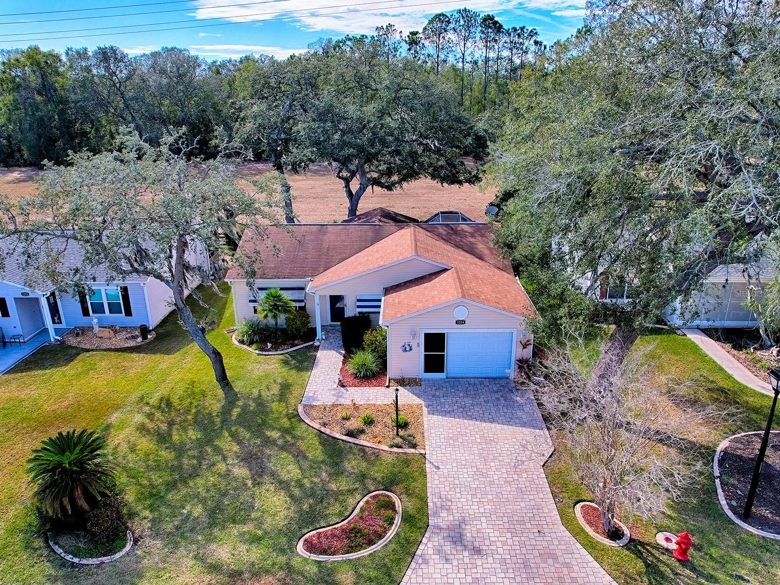 1254 CHAPARRAL DR, THE VILLAGES, FL, 32159