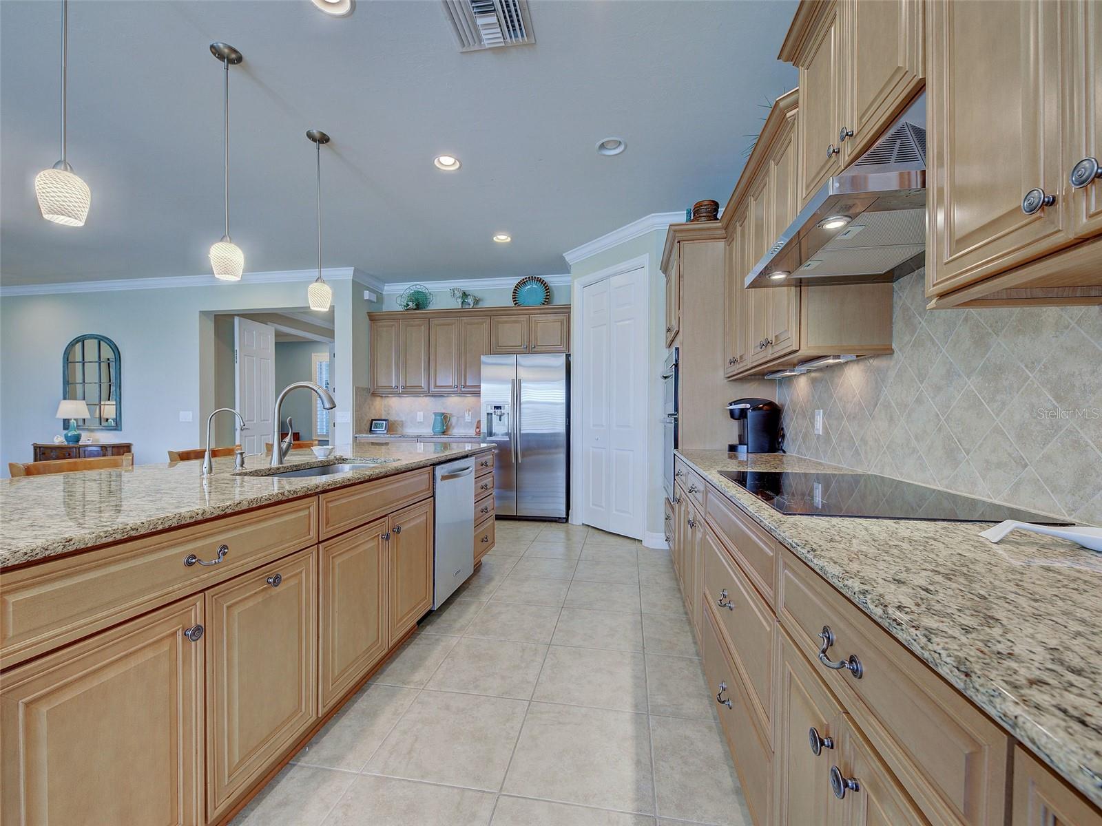 19396 SOLARZANO ST, VENICE, FL, 34293