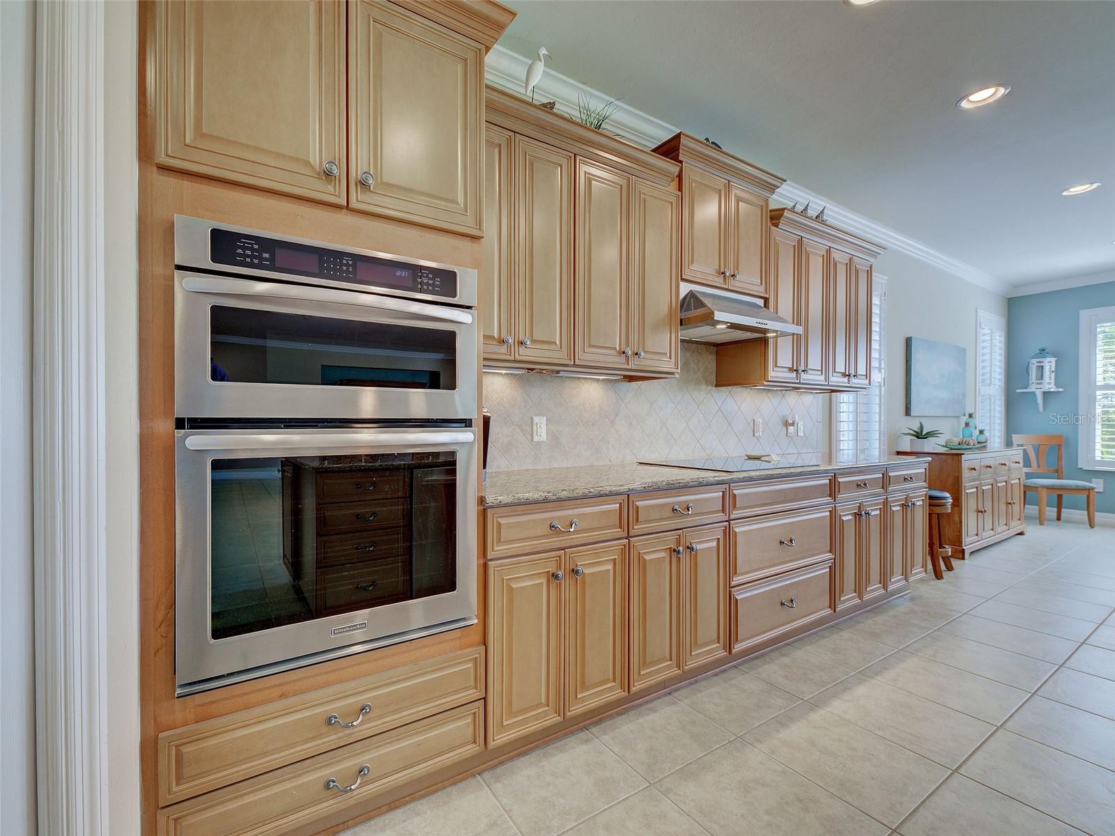 19396 SOLARZANO ST, VENICE, FL, 34293