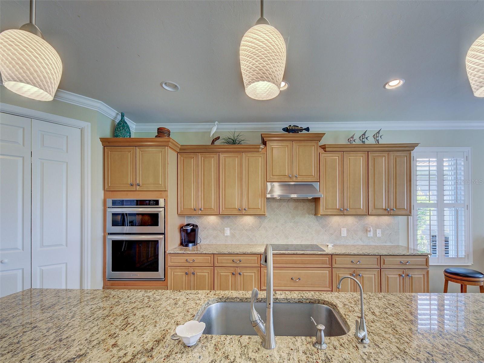 19396 SOLARZANO ST, VENICE, FL, 34293