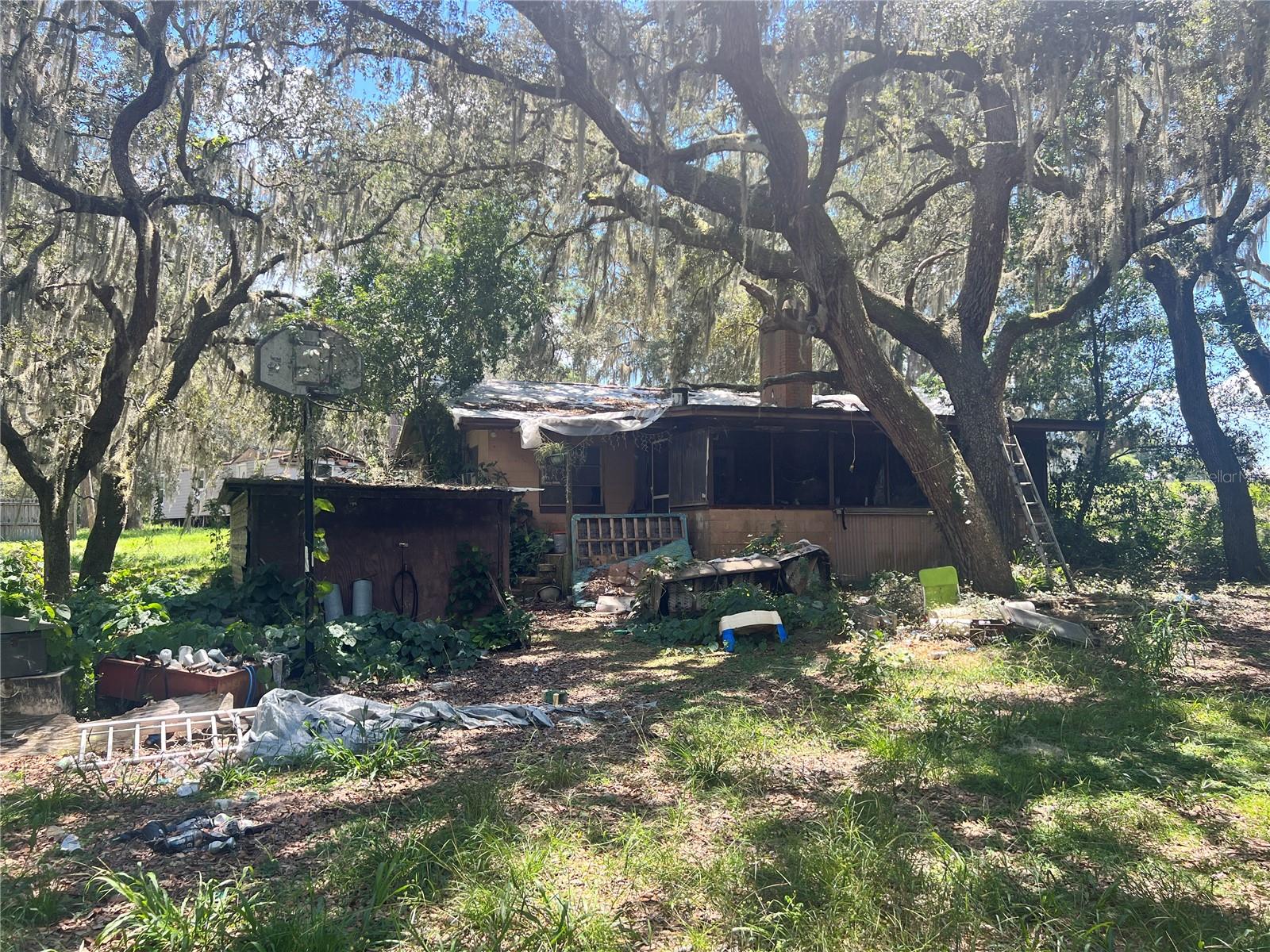 16254 SE 273RD TER, UMATILLA, FL, 32784
