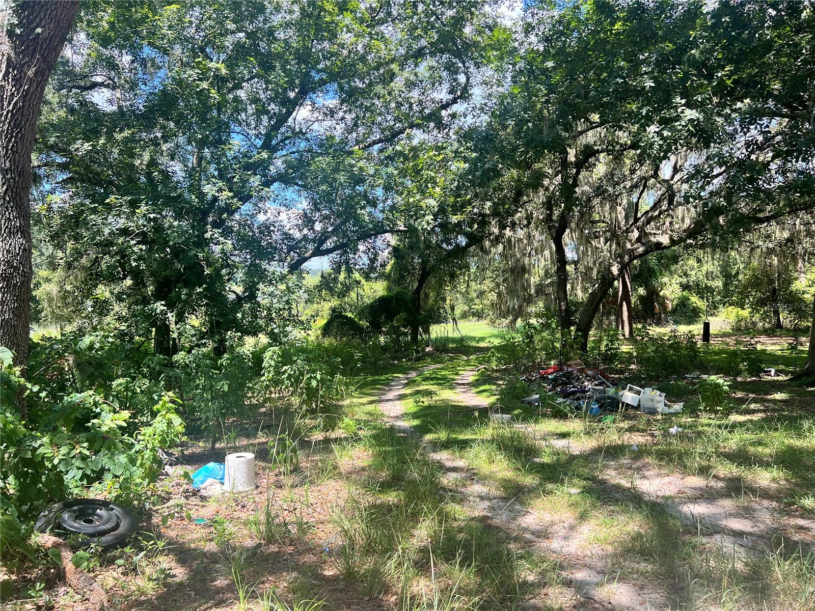 16254 SE 273RD TER, UMATILLA, FL, 32784