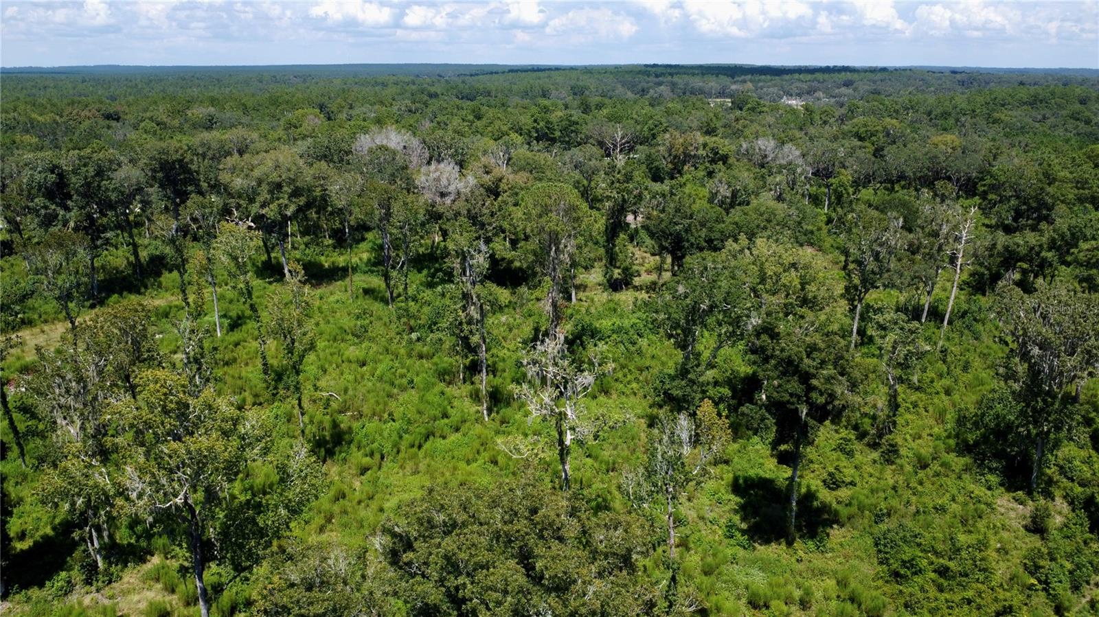 US HWY 27, OCALA, FL, 34482