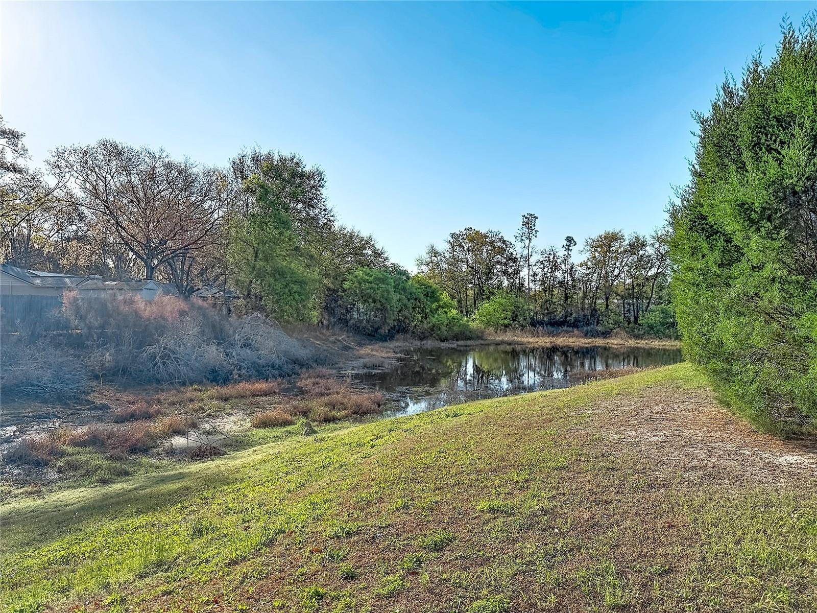 1040 SAWYERS CT, LUTZ, FL, 33559