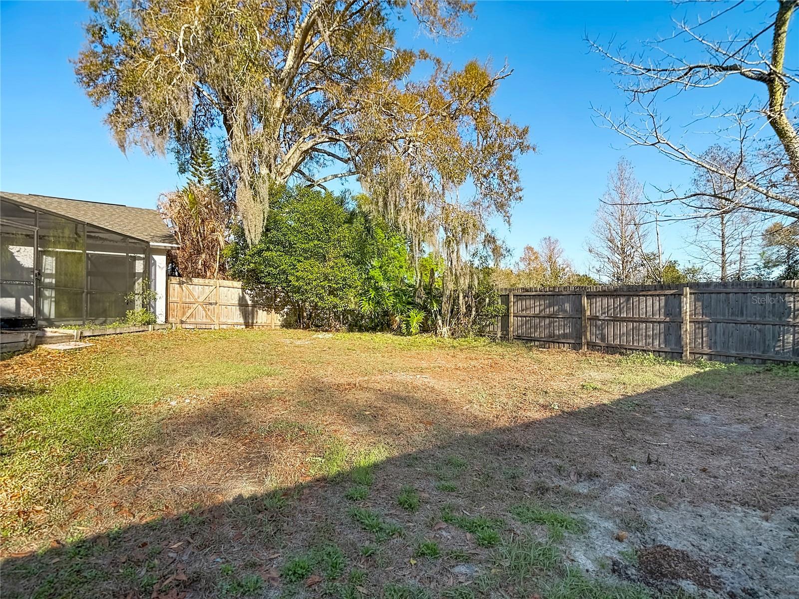 1040 SAWYERS CT, LUTZ, FL, 33559