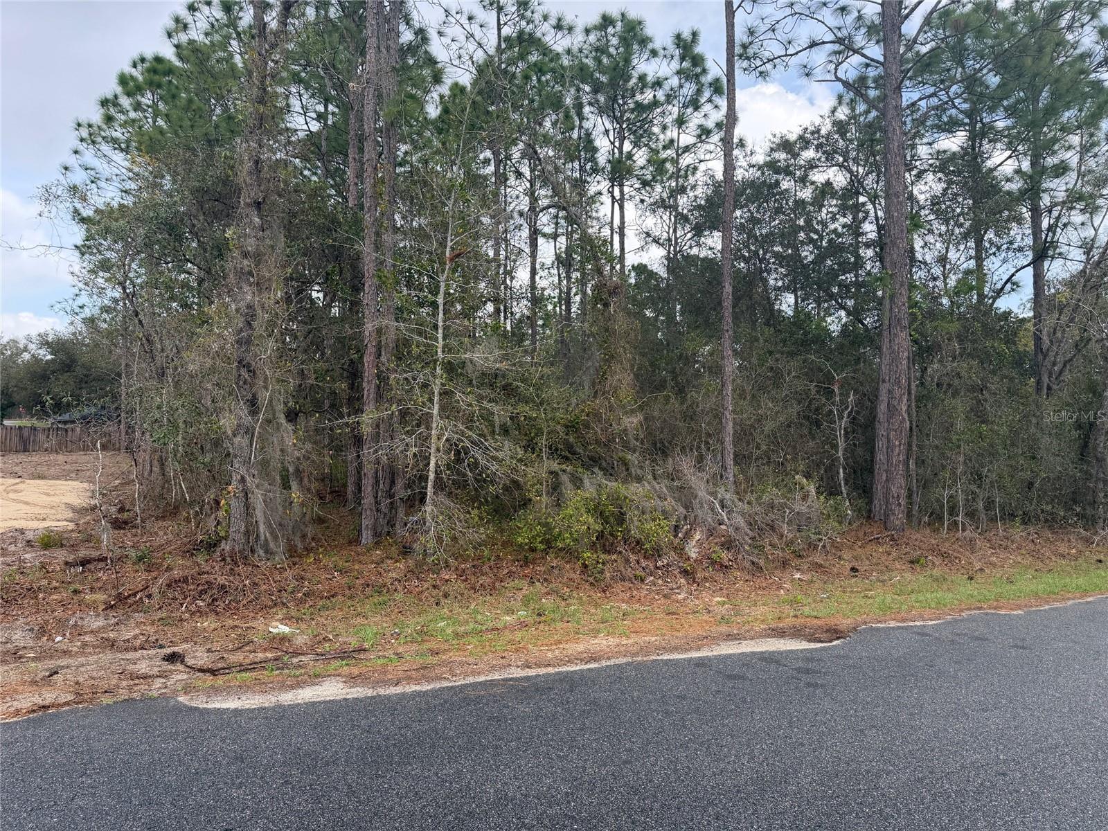 0000 FIR DRIVE TRACK, OCALA, FL, 34472
