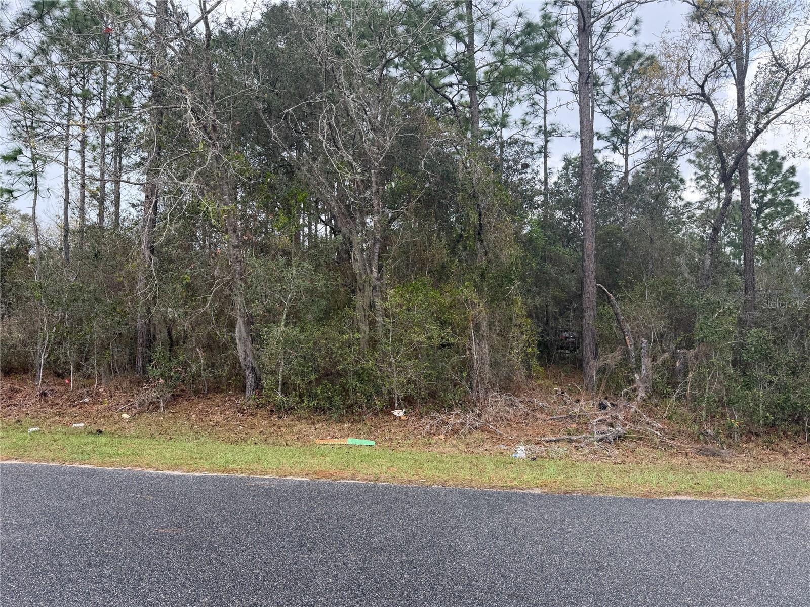 0000 FIR DRIVE TRACK, OCALA, FL, 34472