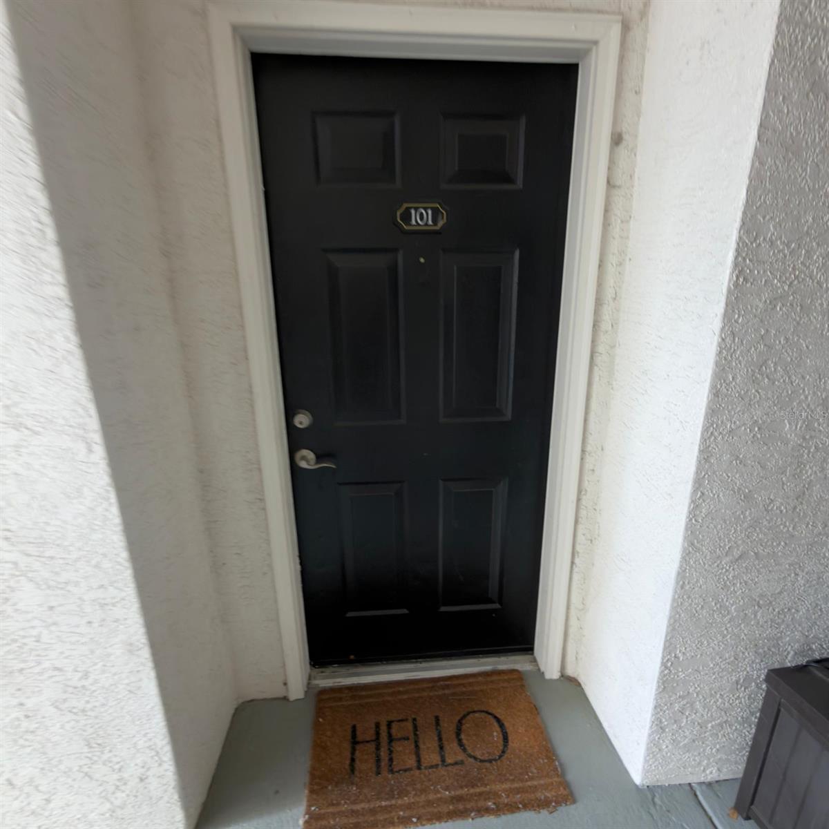 12861 MADISON POINTE CIR #101, ORLANDO, FL, 32821