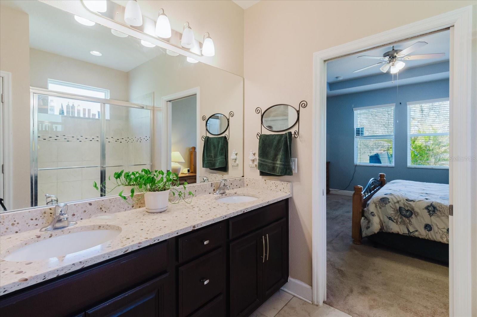 6516 SALT CREEK AVE, APOLLO BEACH, FL, 33572