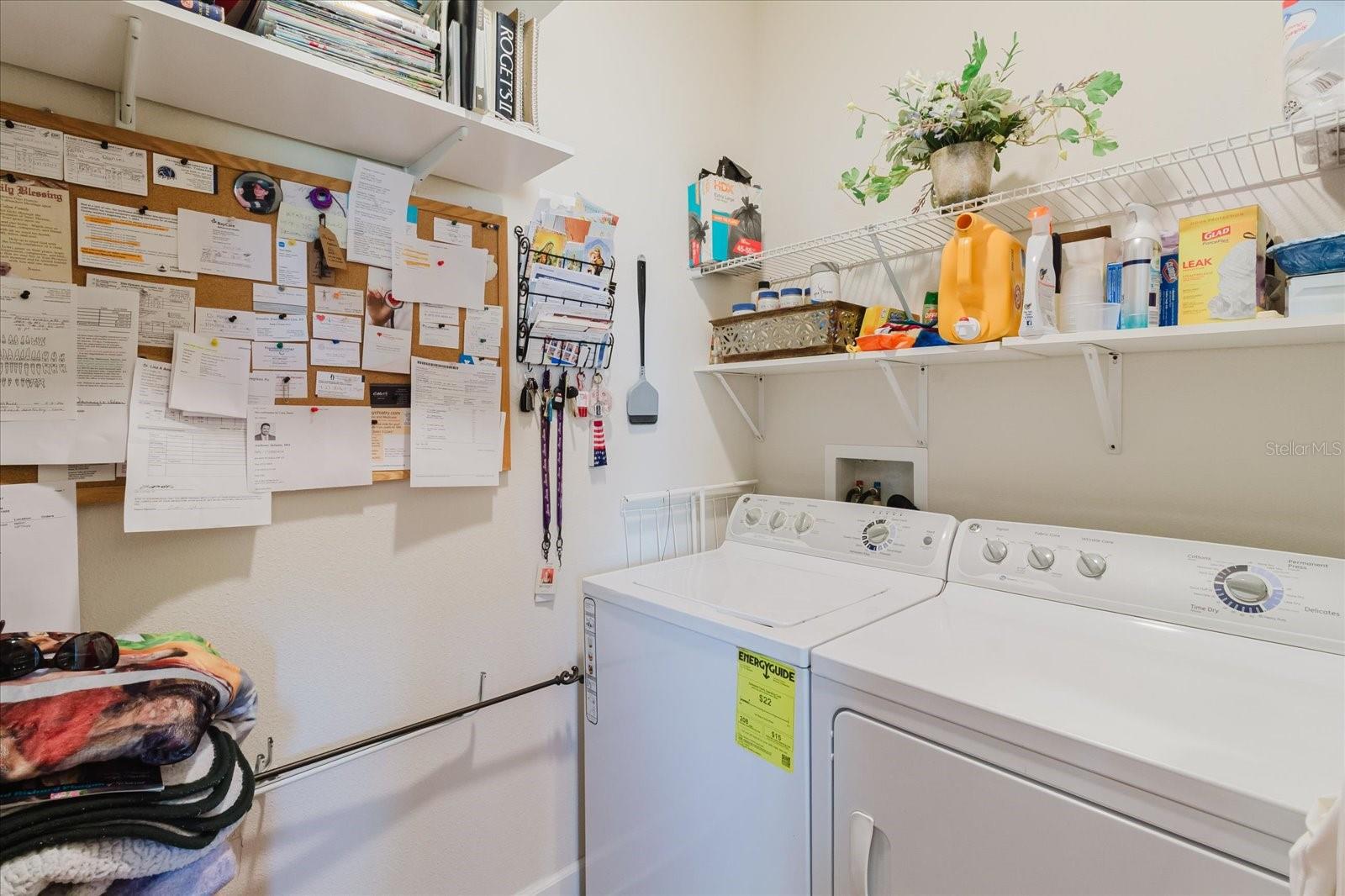 6516 SALT CREEK AVE, APOLLO BEACH, FL, 33572