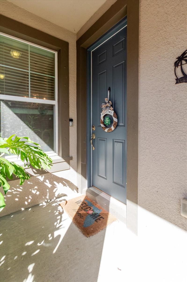 6516 SALT CREEK AVE, APOLLO BEACH, FL, 33572