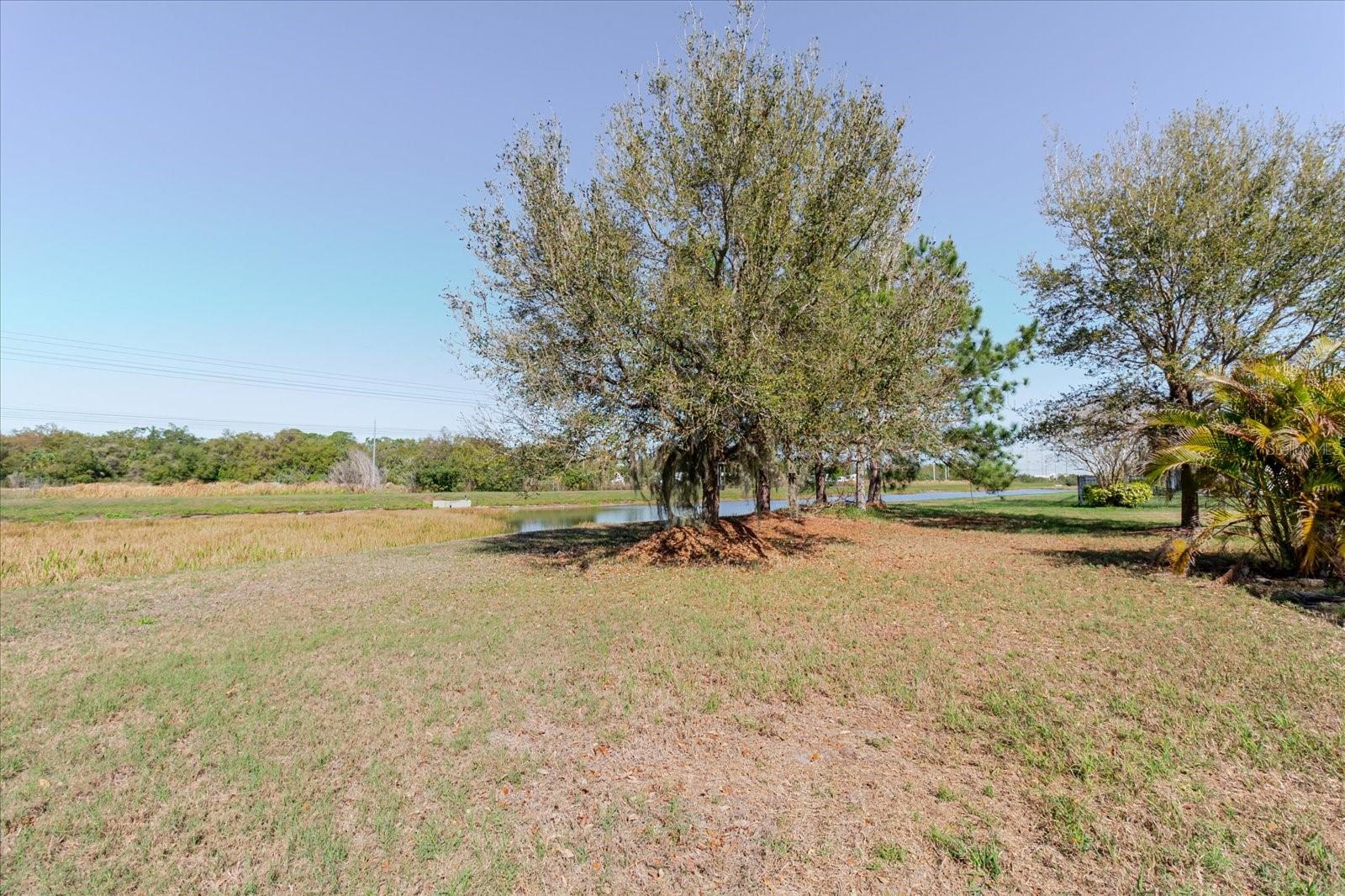 6516 SALT CREEK AVE, APOLLO BEACH, FL, 33572