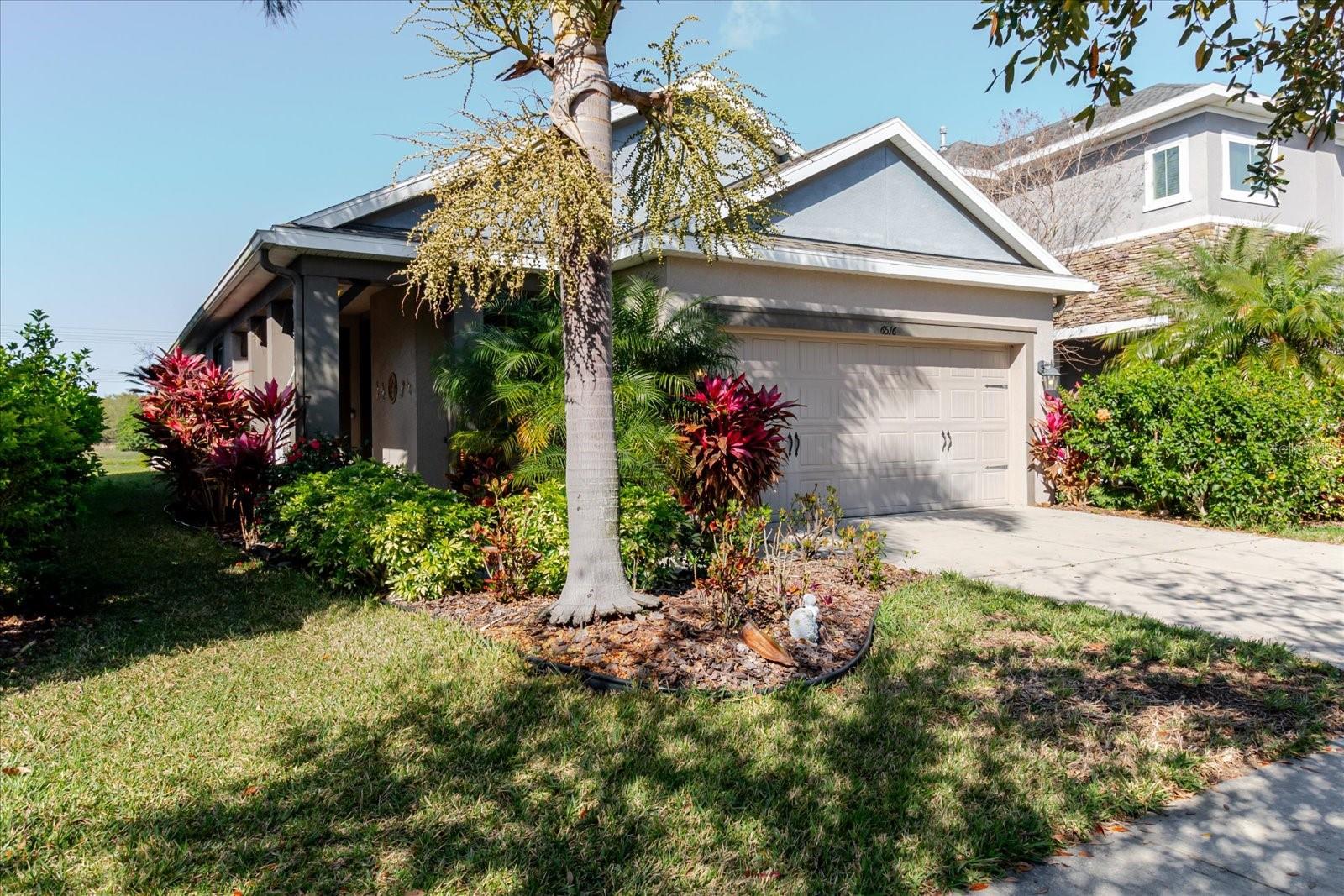 6516 SALT CREEK AVE, APOLLO BEACH, FL, 33572