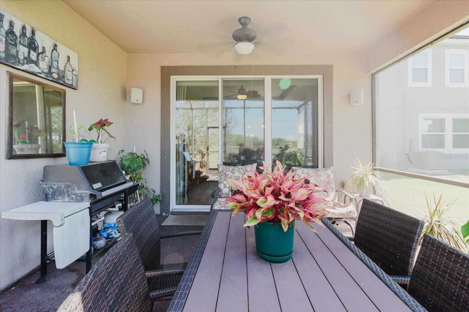 6516 SALT CREEK AVE, APOLLO BEACH, FL, 33572
