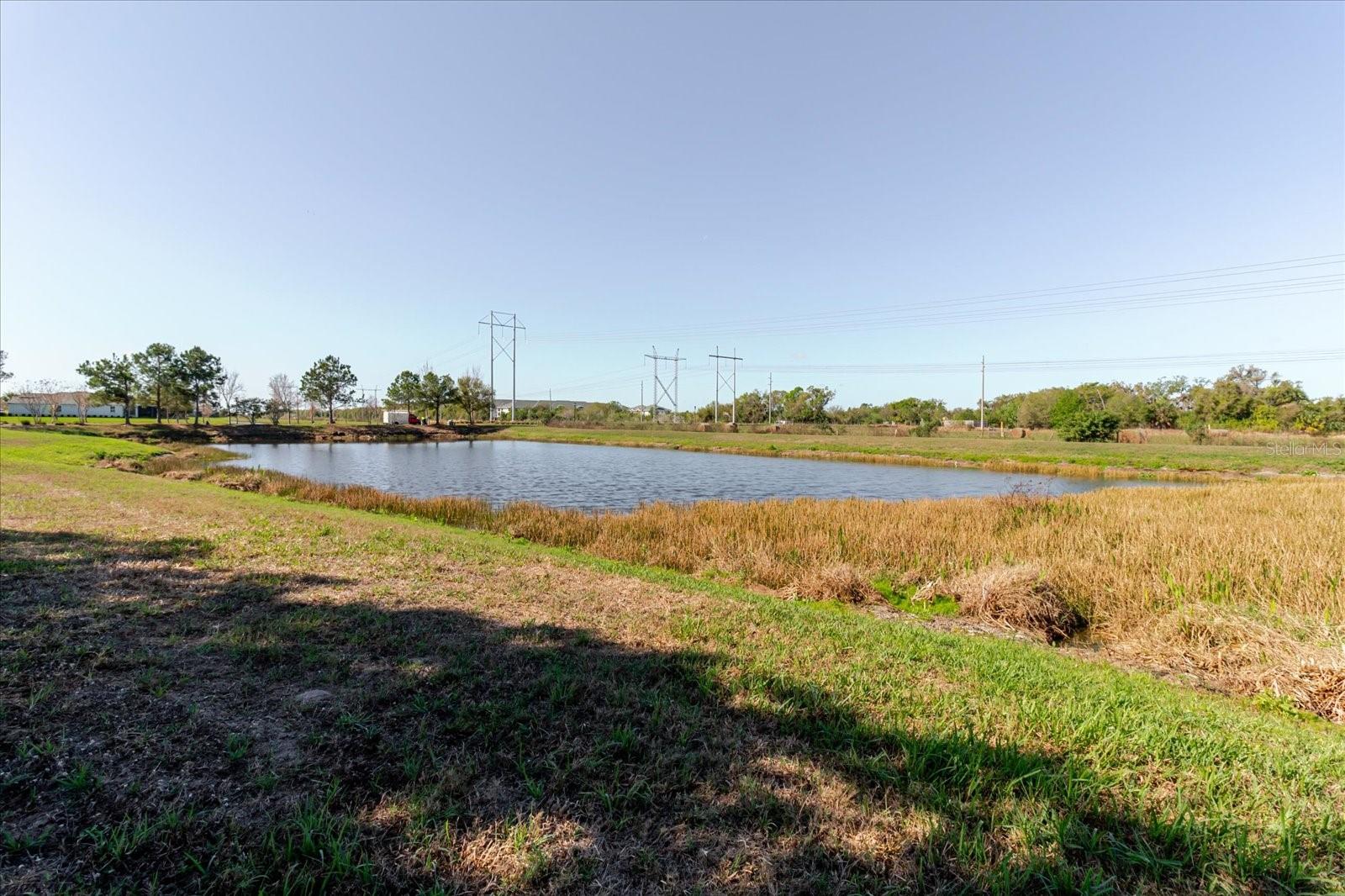 6516 SALT CREEK AVE, APOLLO BEACH, FL, 33572