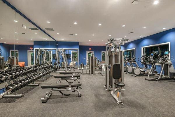 6516 SALT CREEK AVE, APOLLO BEACH, FL, 33572