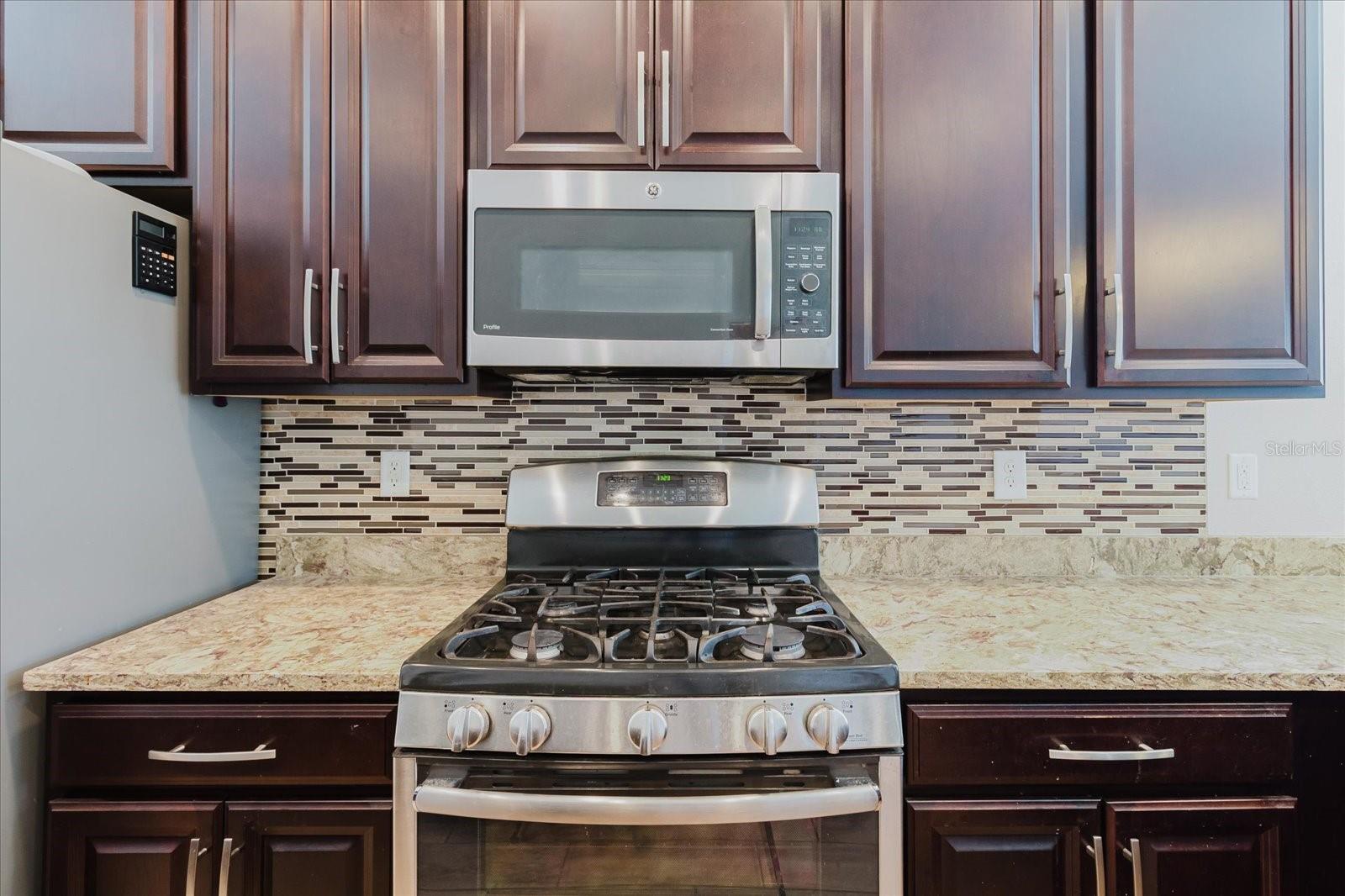 6516 SALT CREEK AVE, APOLLO BEACH, FL, 33572