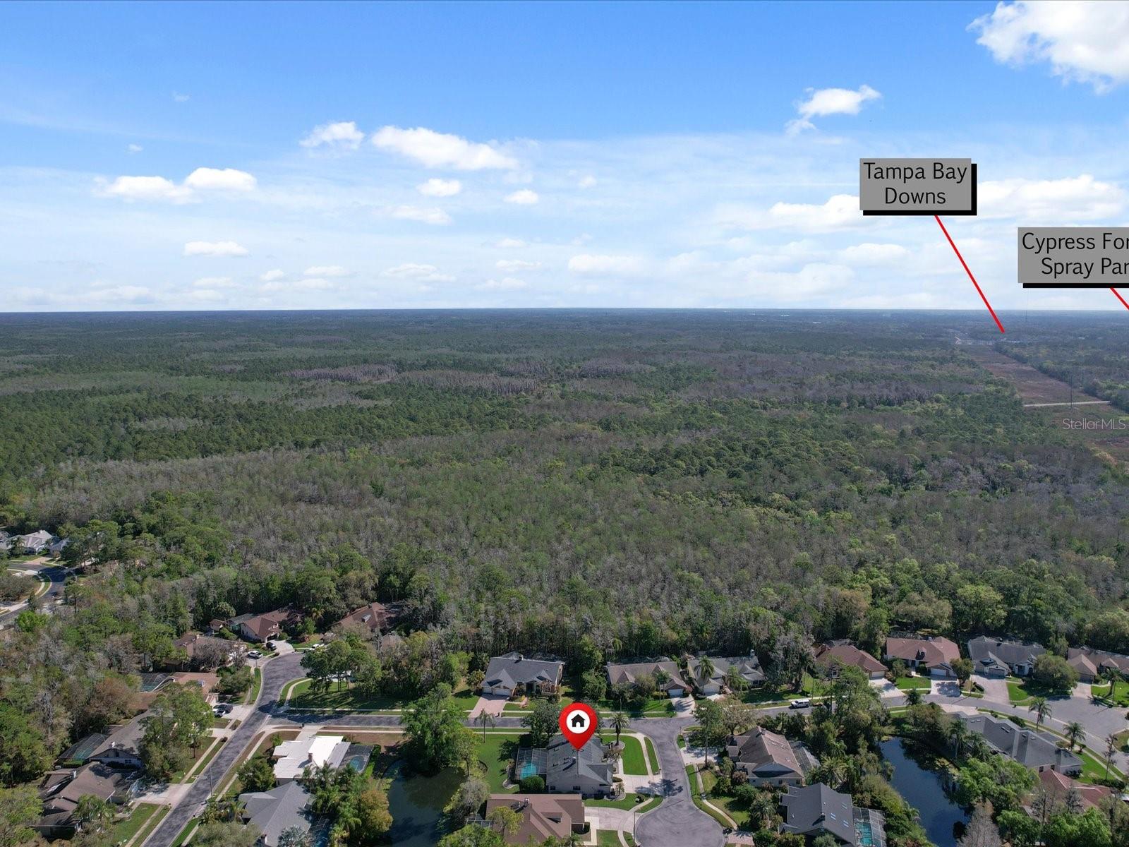 10 WINDRUSH CT, OLDSMAR, FL, 34677