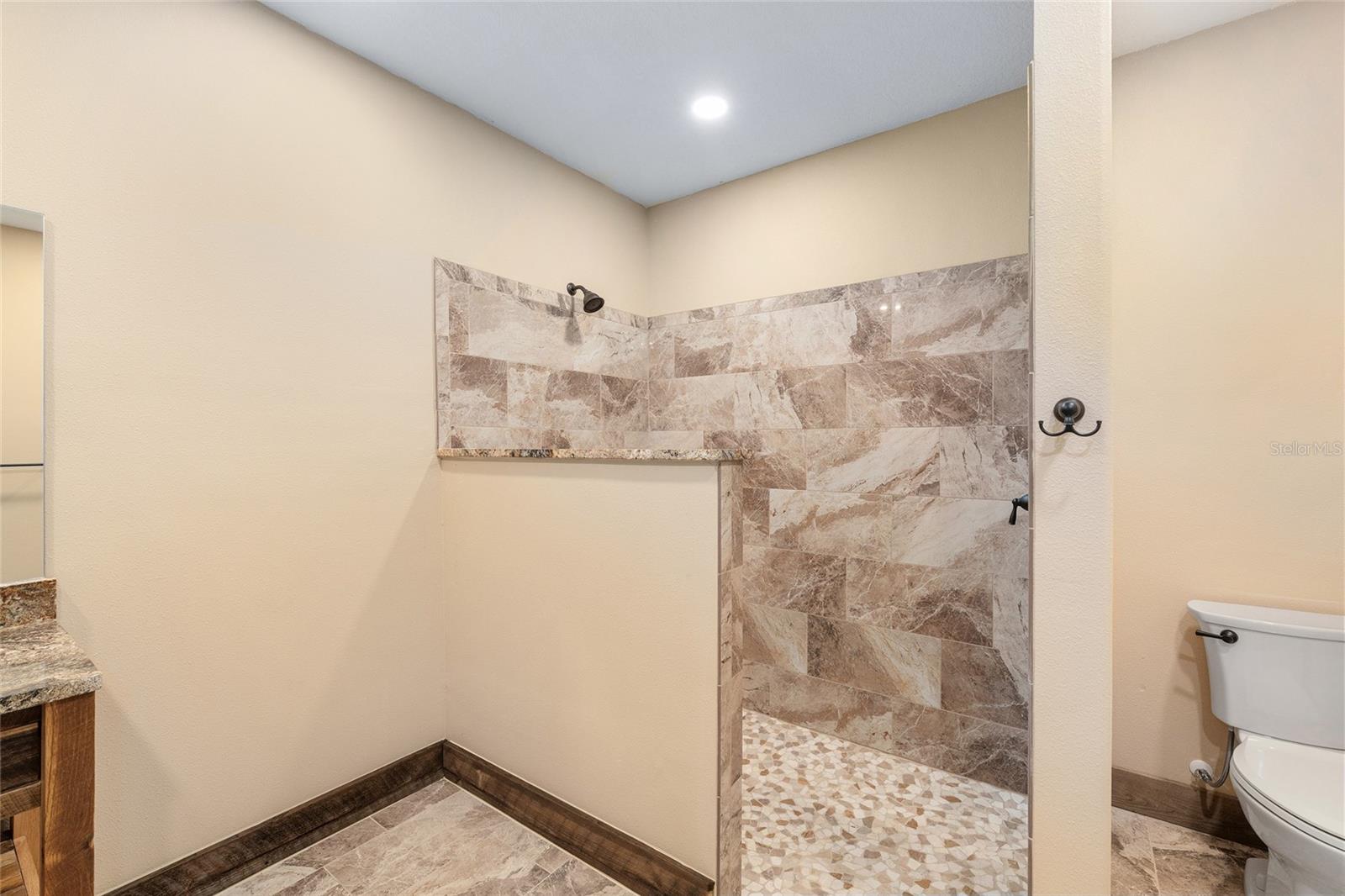 13869 S HWY 475, SUMMERFIELD, FL, 34491