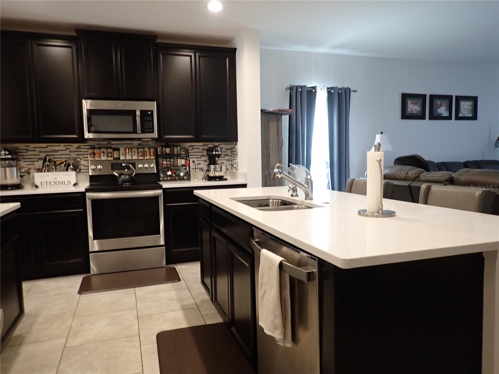 508 WILDCAT LANE, DAVENPORT, FL, 33837