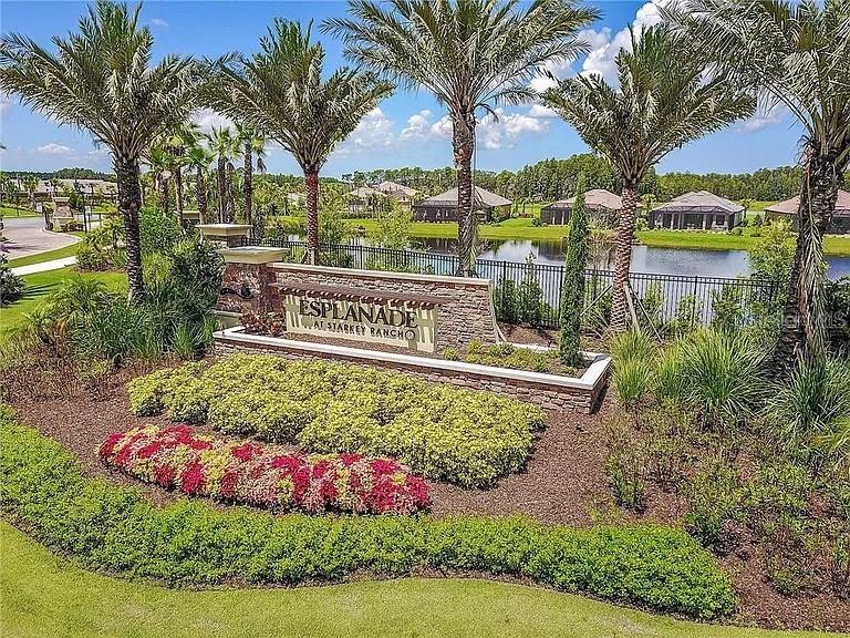 11119 CALLISIA DR, ODESSA, FL, 33556