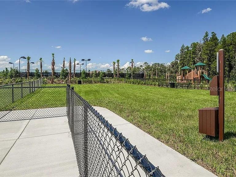 11119 CALLISIA DR, ODESSA, FL, 33556