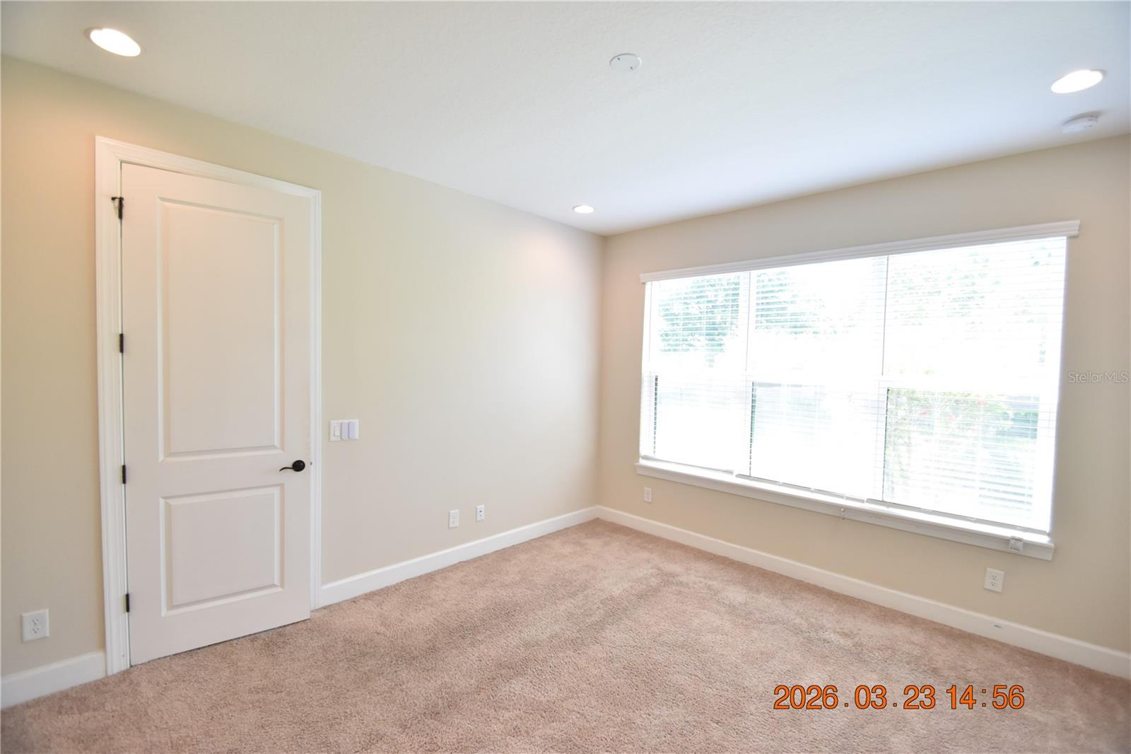 11119 CALLISIA DR, ODESSA, FL, 33556