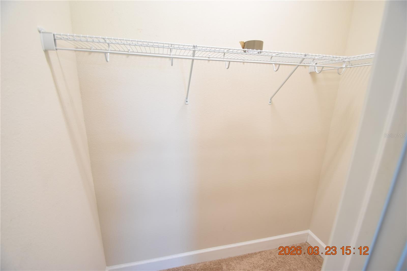 11119 CALLISIA DR, ODESSA, FL, 33556