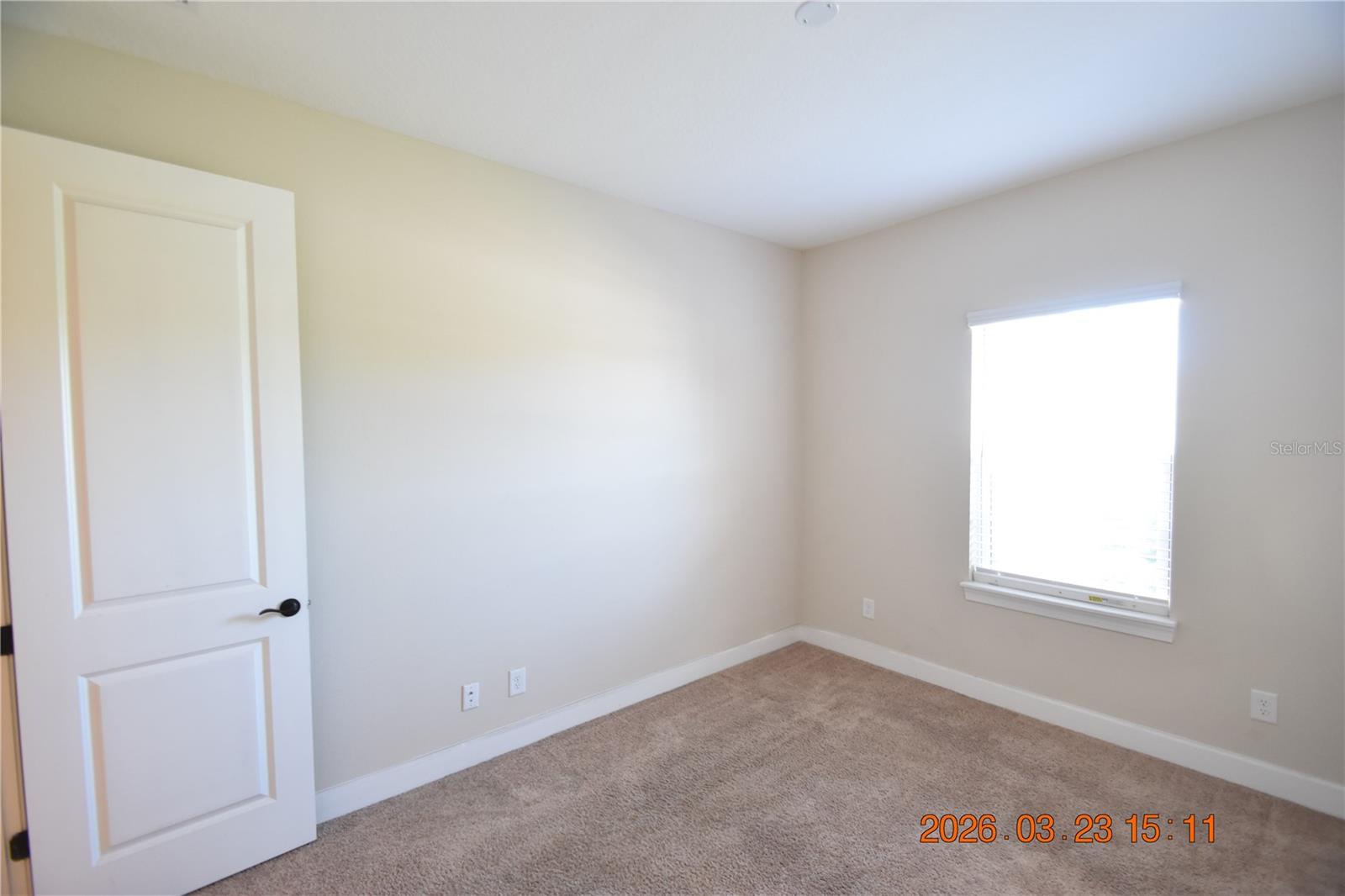 11119 CALLISIA DR, ODESSA, FL, 33556
