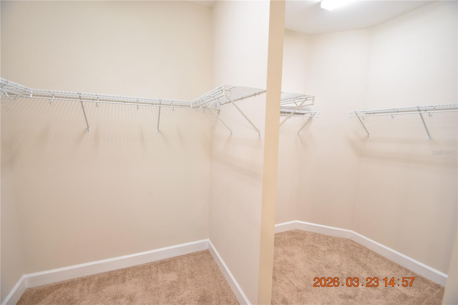 11119 CALLISIA DR, ODESSA, FL, 33556