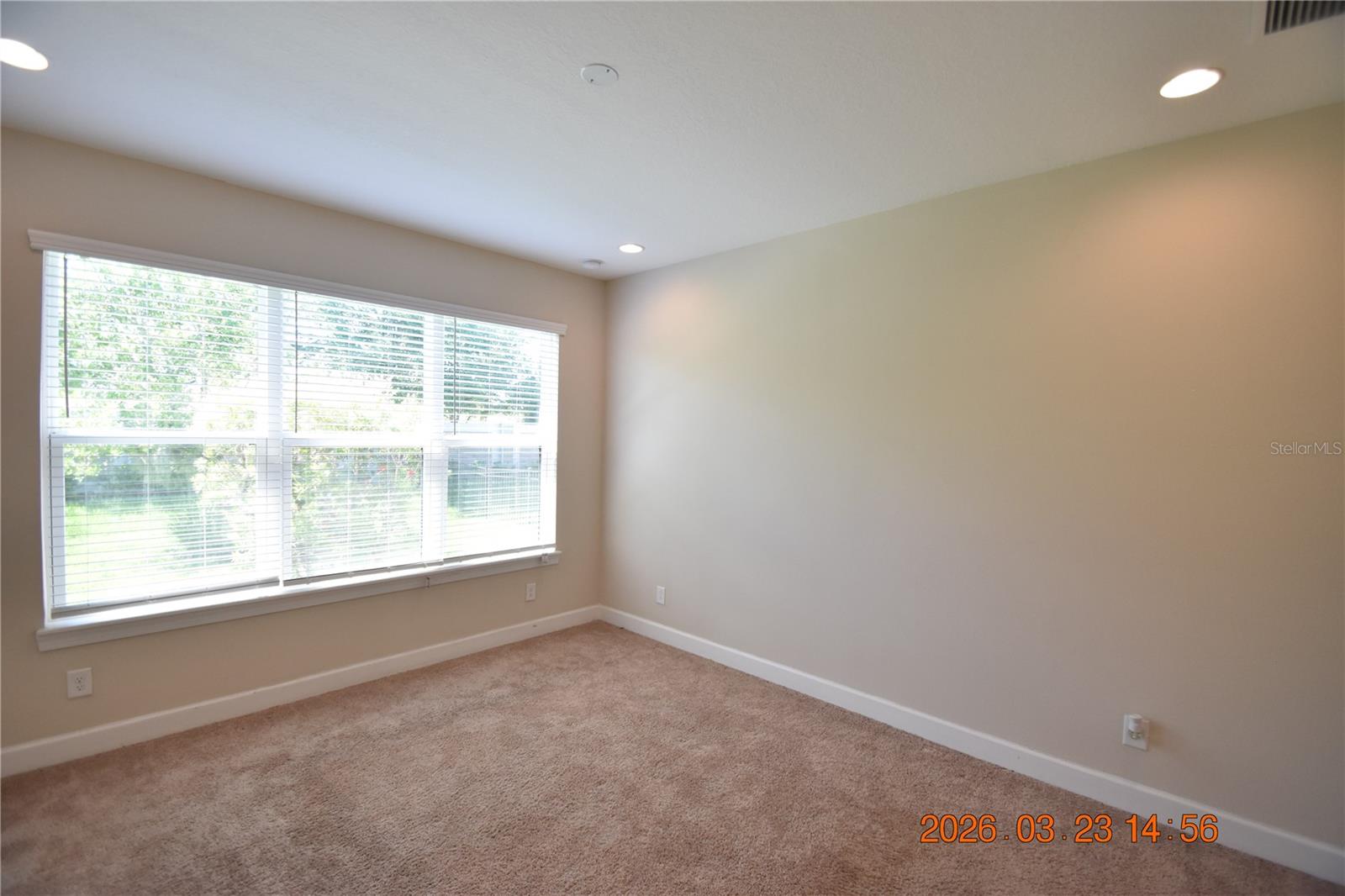 11119 CALLISIA DR, ODESSA, FL, 33556