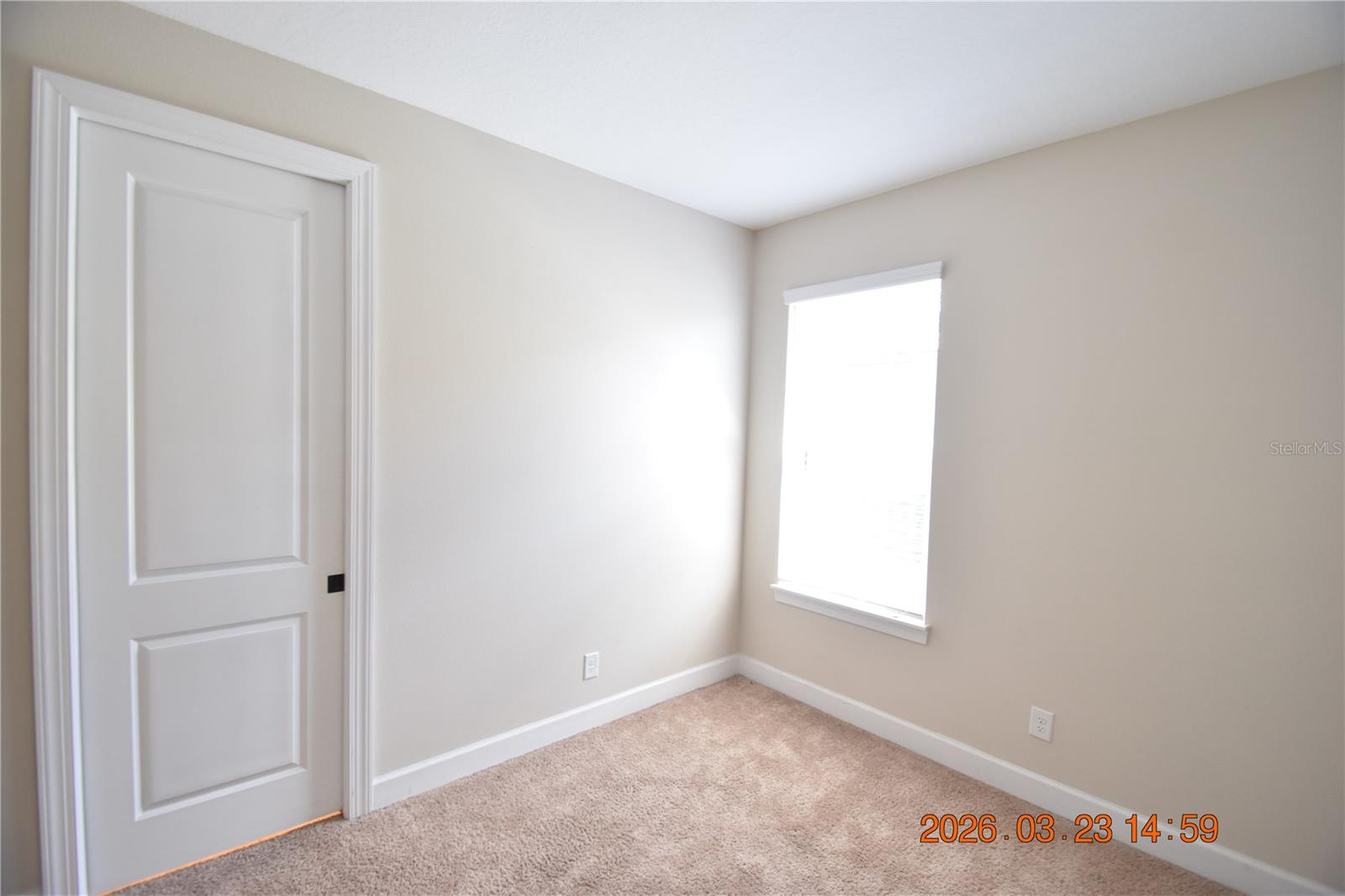 11119 CALLISIA DR, ODESSA, FL, 33556