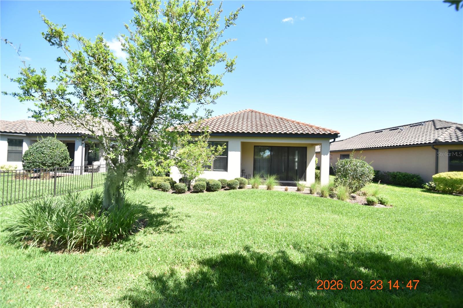 11119 CALLISIA DR, ODESSA, FL, 33556