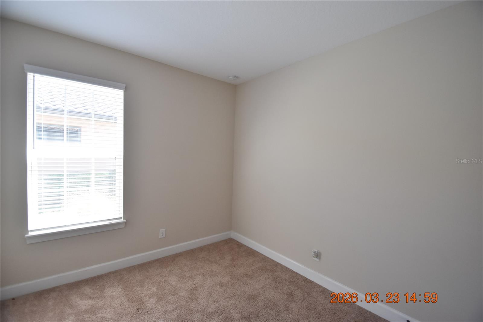 11119 CALLISIA DR, ODESSA, FL, 33556