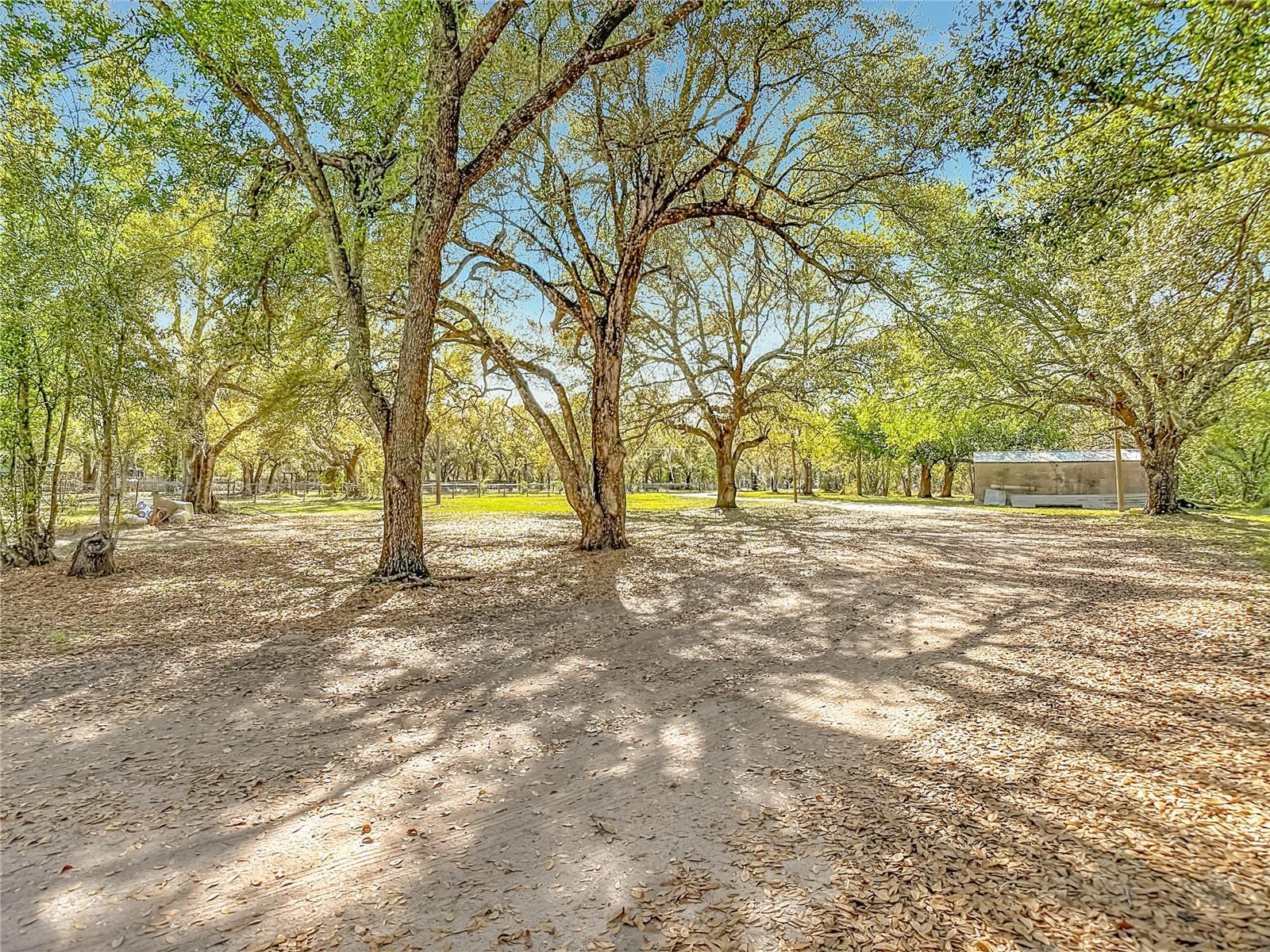 2346 HAILE DEAN RD, ARCADIA, FL, 34266