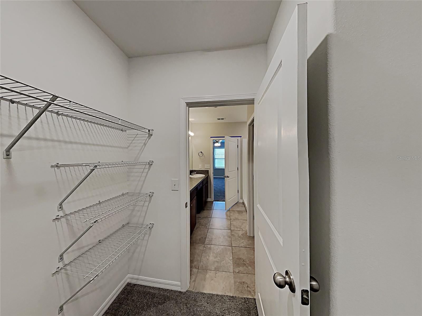 15320 BROAD BRUSH DR, RUSKIN, FL, 33573