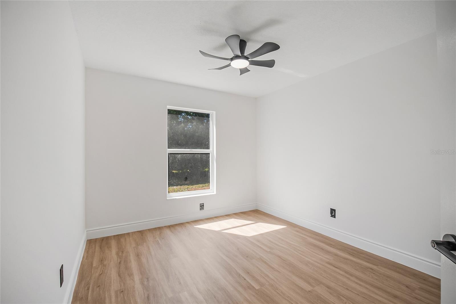 808 WHITE IVEY CT, APOPKA, FL, 32712