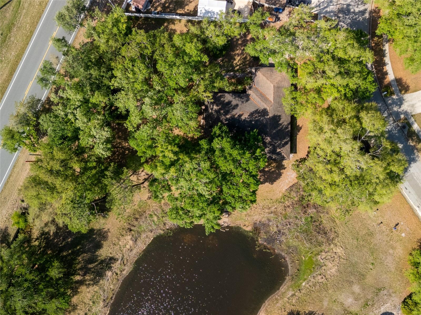 24180 LANDING DR, LUTZ, FL, 33559
