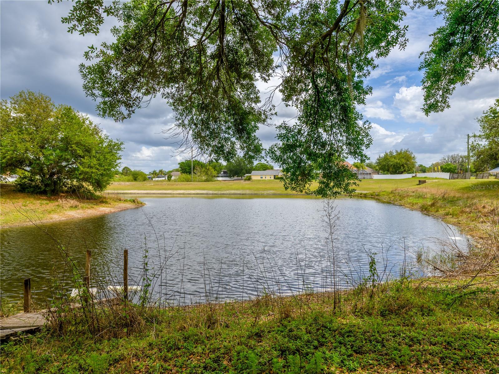 24180 LANDING DR, LUTZ, FL, 33559
