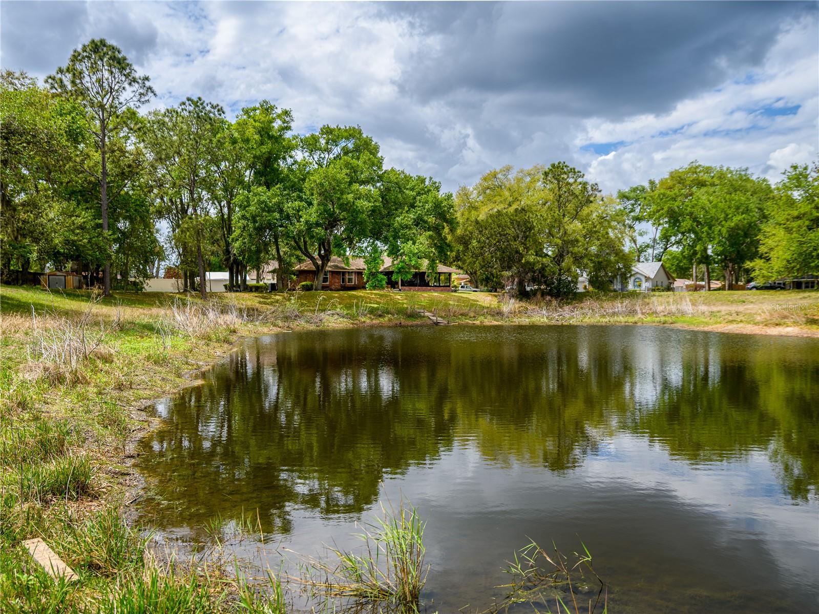 24180 LANDING DR, LUTZ, FL, 33559