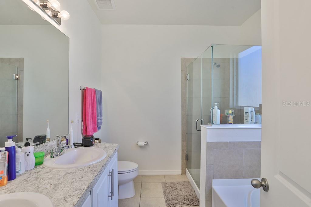 10546 MEDFORD LAKE DR, RIVERVIEW, FL, 33578
