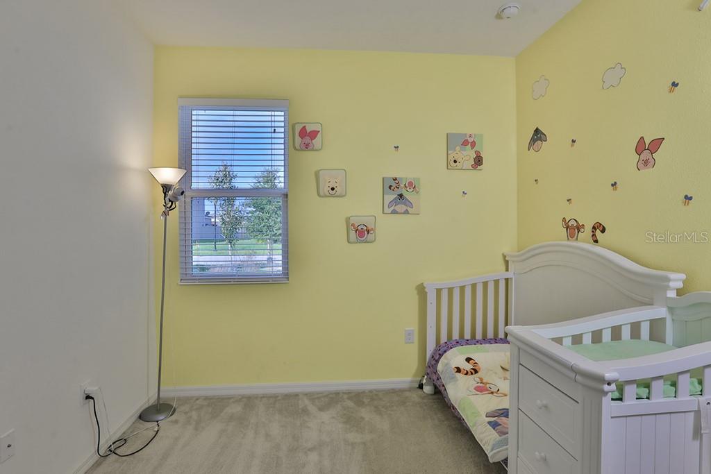 10546 MEDFORD LAKE DR, RIVERVIEW, FL, 33578