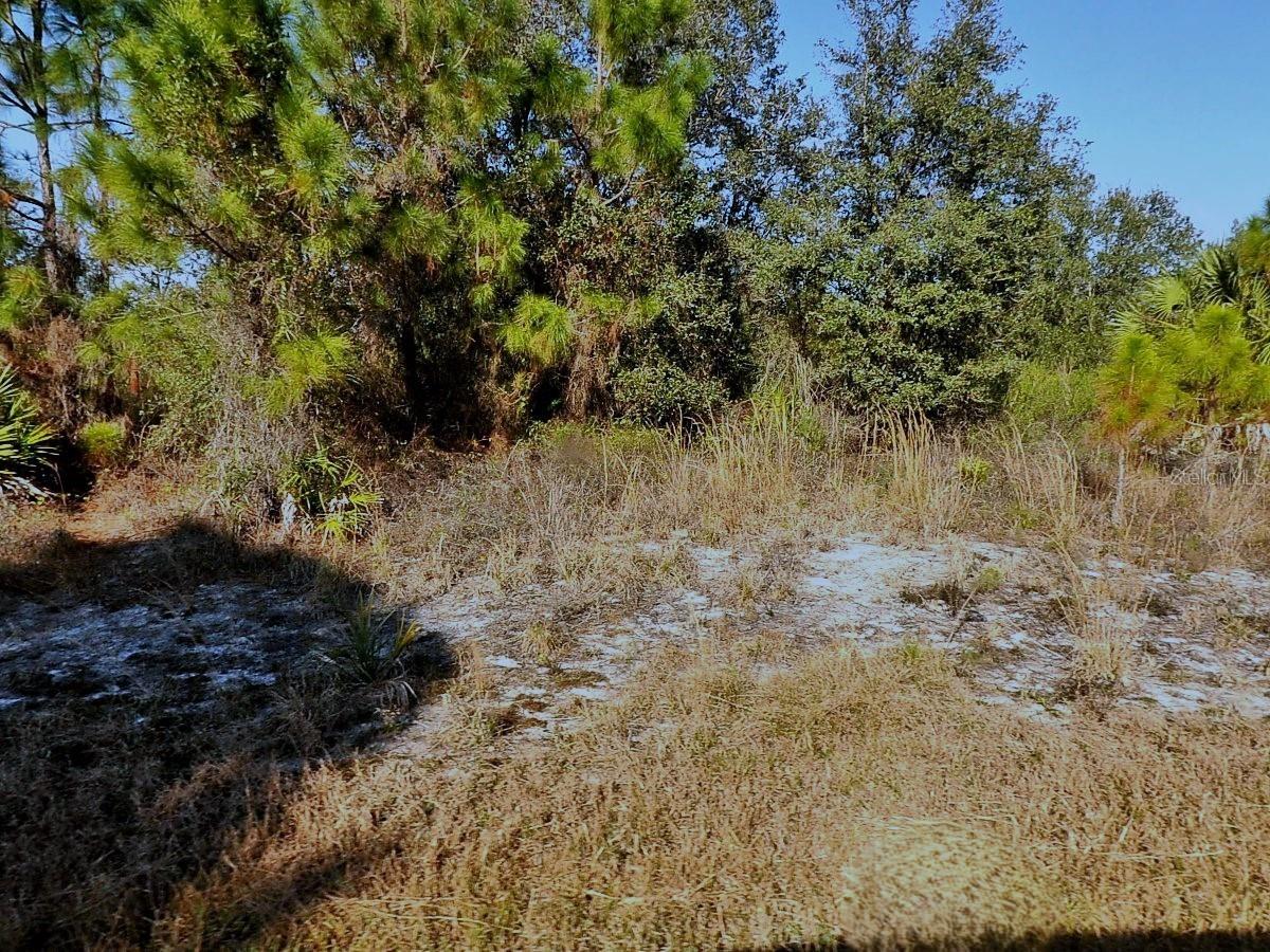 WINTERVILLE CIR, NORTH PORT, FL, 34288