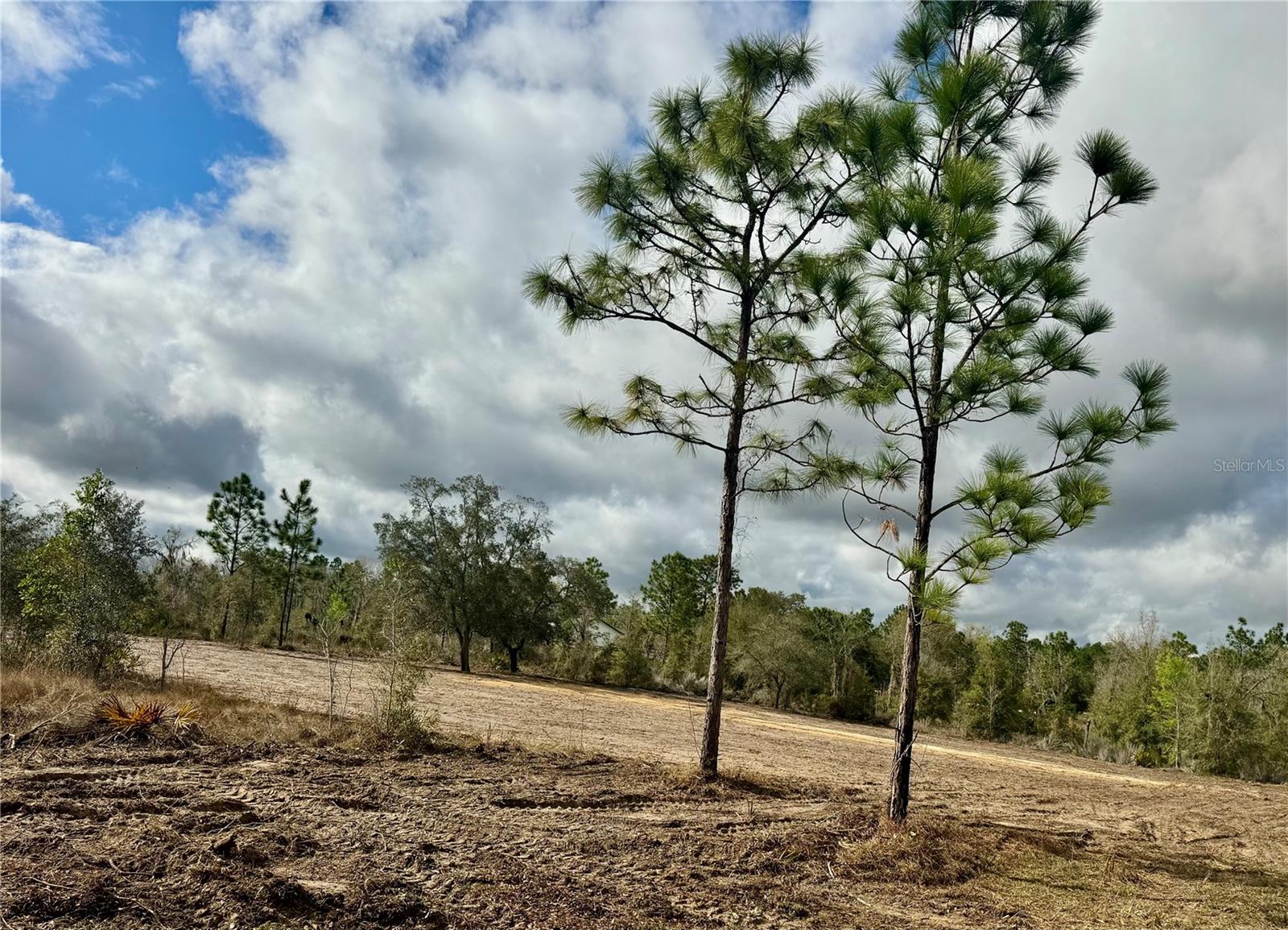 TBD NE 108TH TER, ARCHER, FL, 32618
