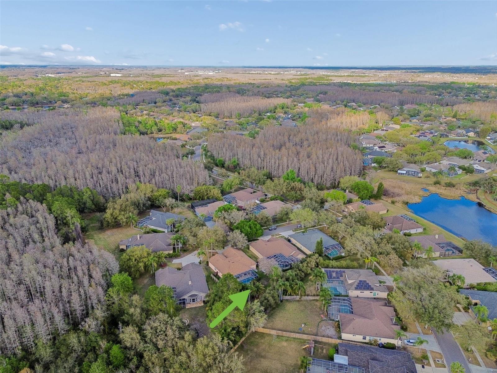 5506 CAMILLE CT, LUTZ, FL, 33558