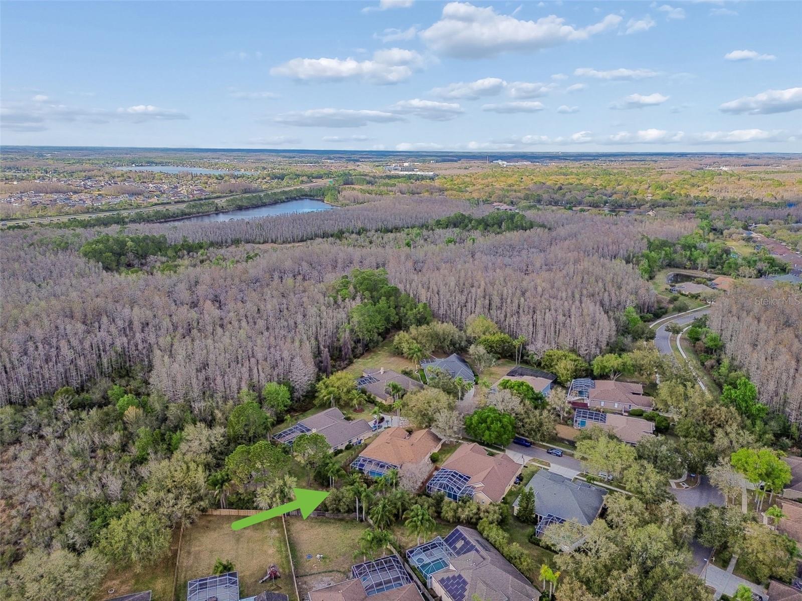 5506 CAMILLE CT, LUTZ, FL, 33558